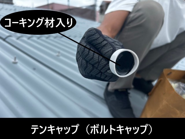 スレート屋根用　 テンキャップ（ボルトキャップ）